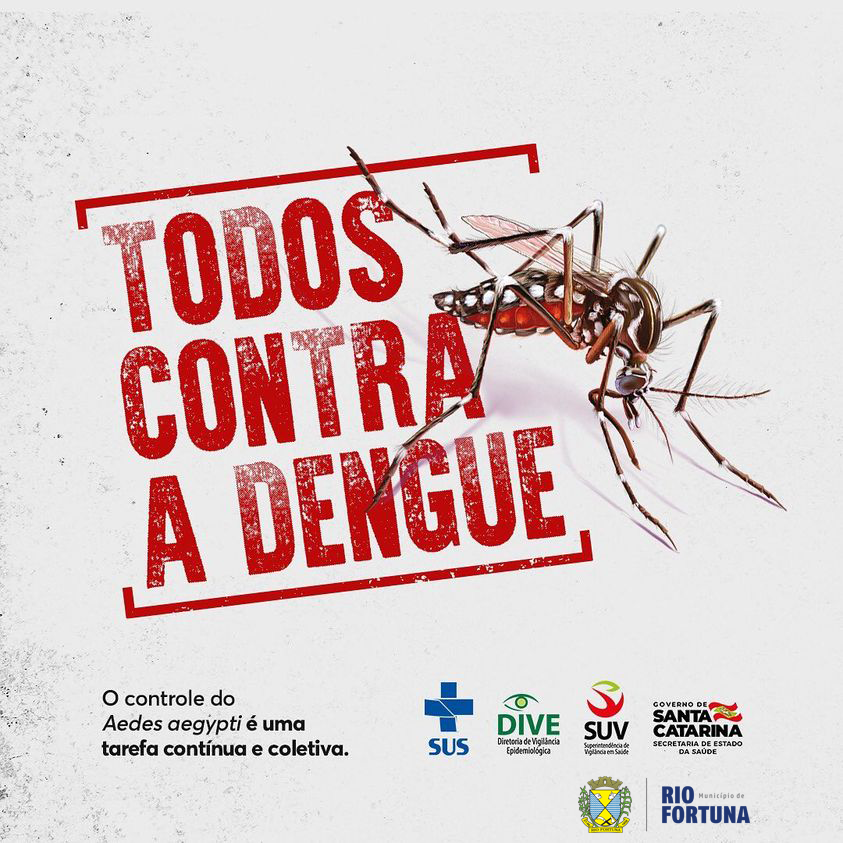 Lançamento: Contra a Dengue 2 Na Cidade